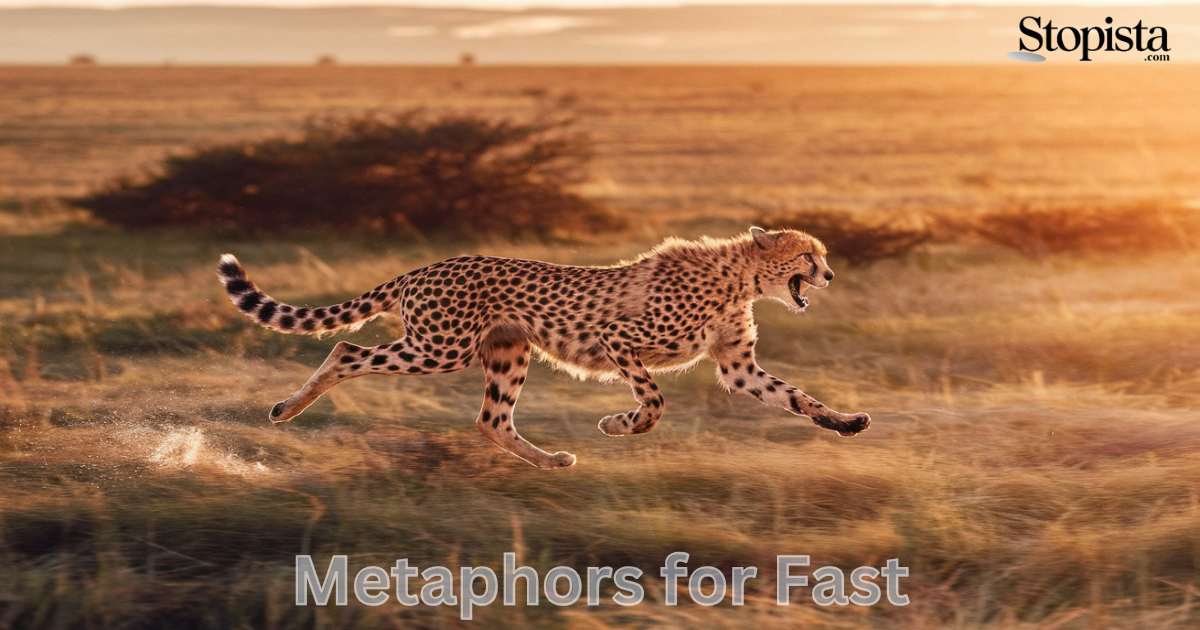 Metaphors for Fast