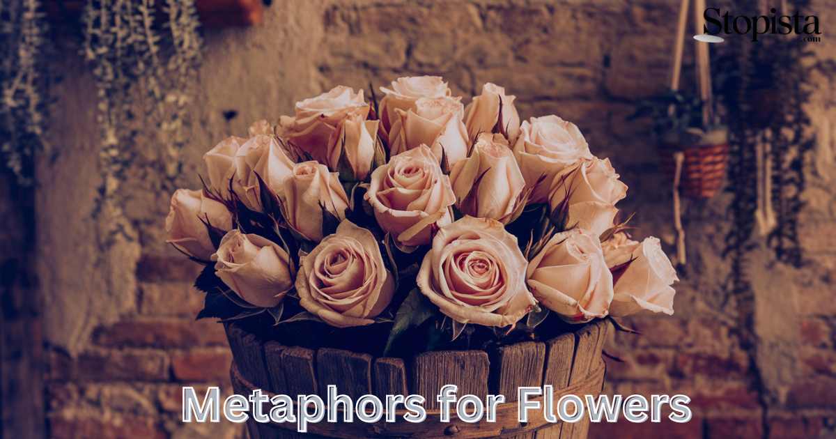 Metaphors for Flowers