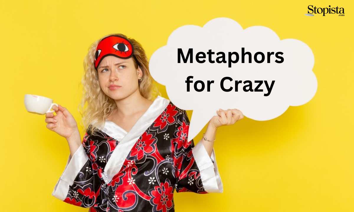 Metaphors for Crazy