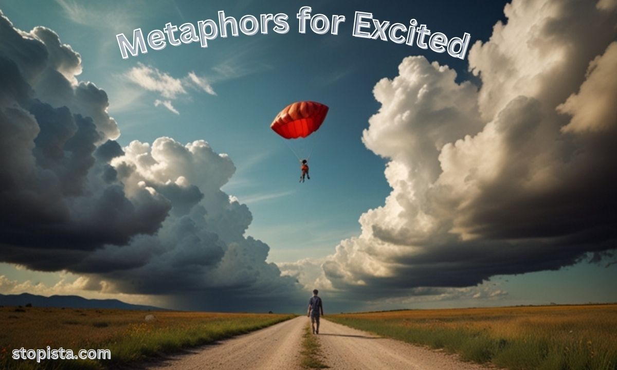 Metaphors for Excited