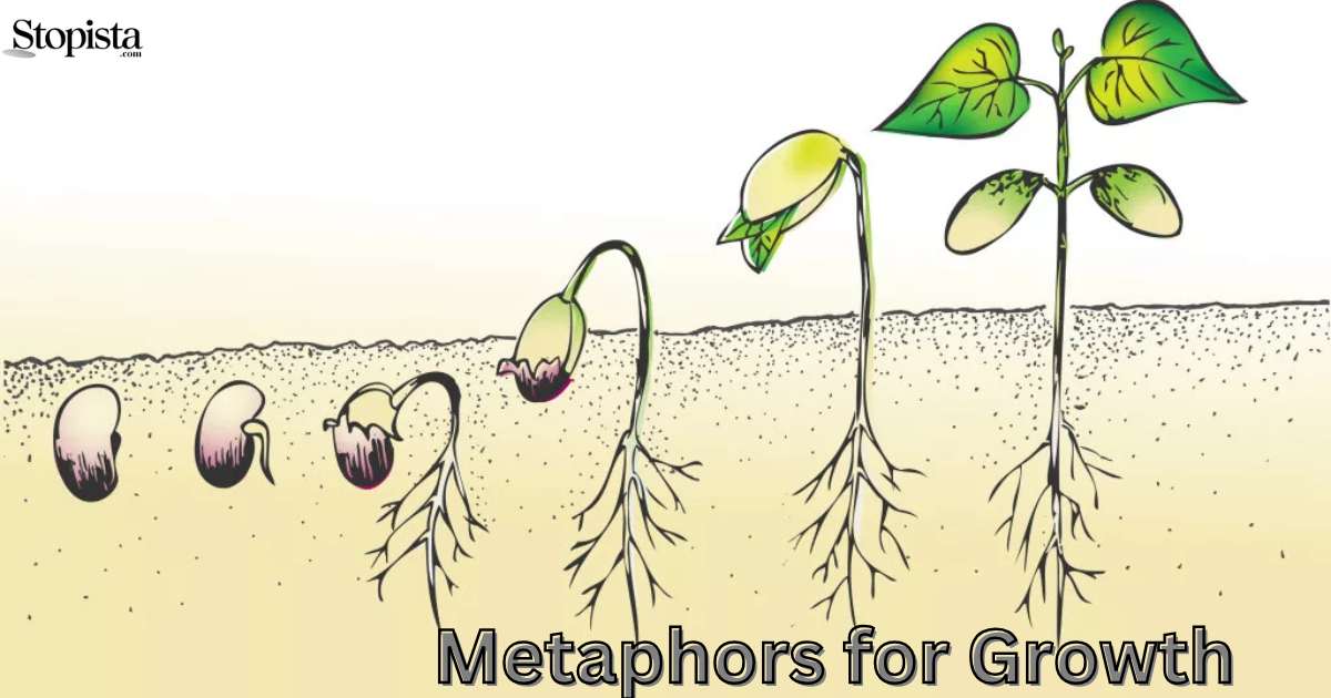 Metaphors for Growth