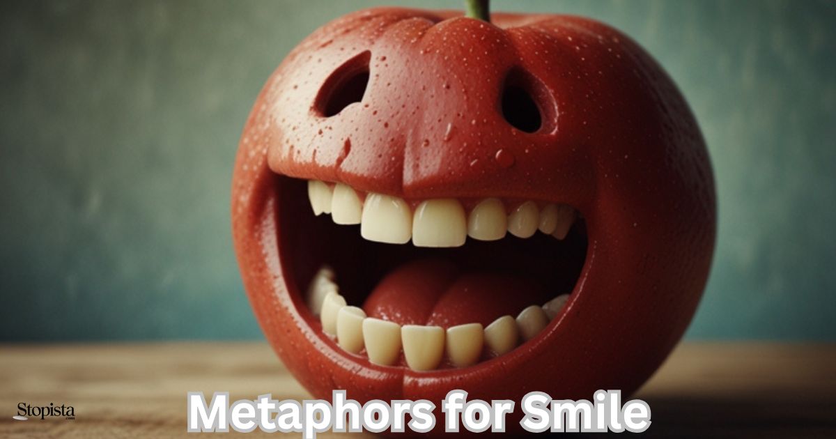 Metaphors for Smile