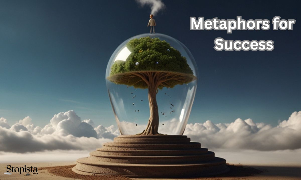 Metaphors for Success