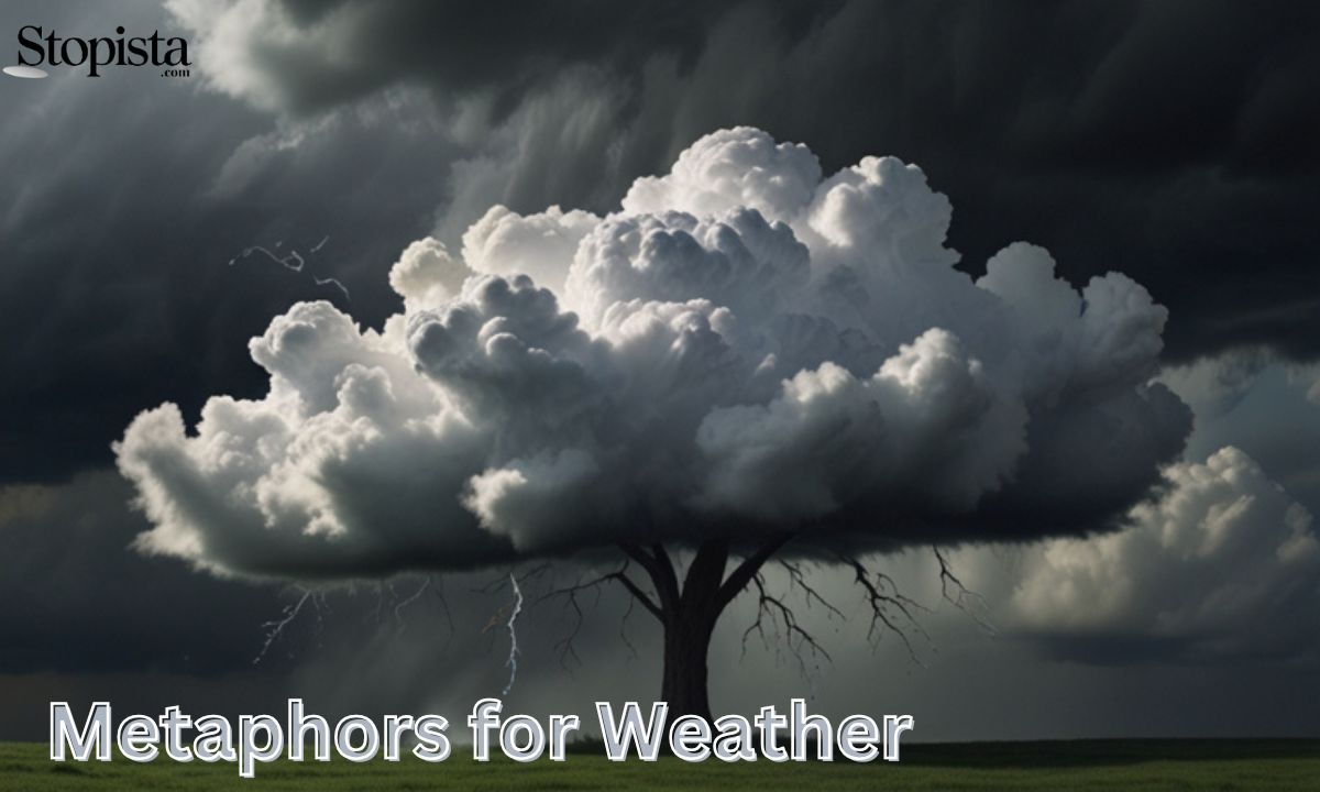 Metaphors for Weather