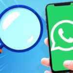 LogicalShout: Latest WhatsApp Updates and News